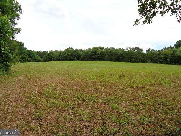 18.5 Acres of Land for Sale in Carnesville, Georgia