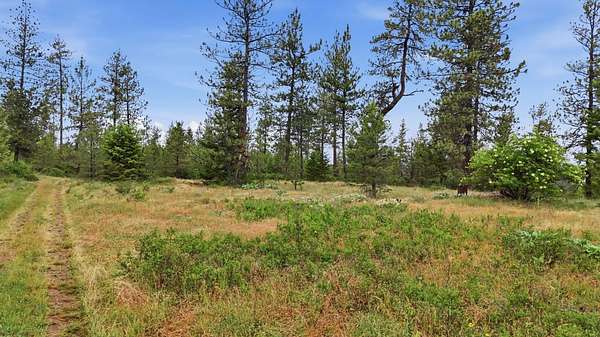 113 Acres of Land for Sale in Nine Mile Falls, Washington