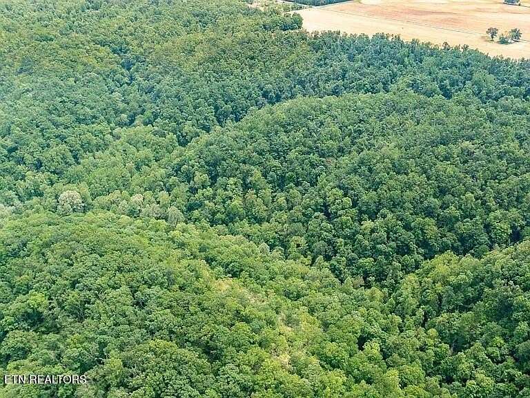 32.6 Acres of Recreational & Residential Land for Sale in Woodbury, Tennessee