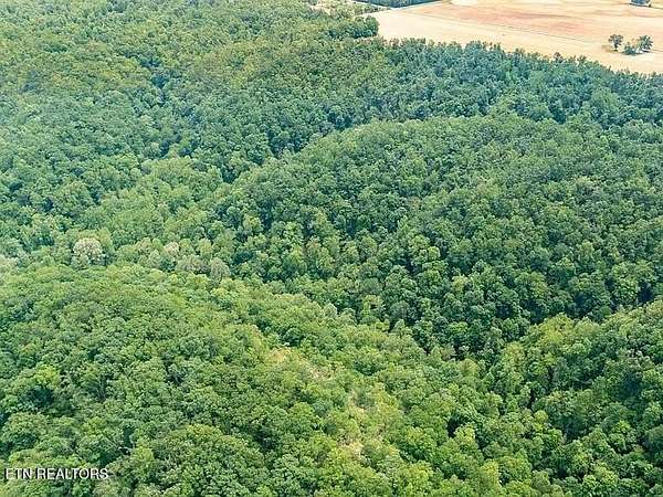 32.6 Acres of Recreational & Residential Land for Sale in Woodbury, Tennessee