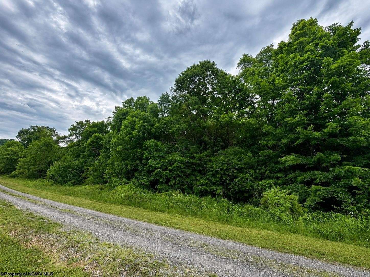 2 Acres of Residential Land for Sale in Dryfork, West Virginia
