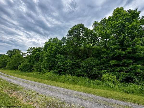 2 Acres of Residential Land for Sale in Dryfork, West Virginia