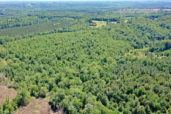 48.6 Acres of Recreational & Residential Land for Sale in South Boston, Virginia