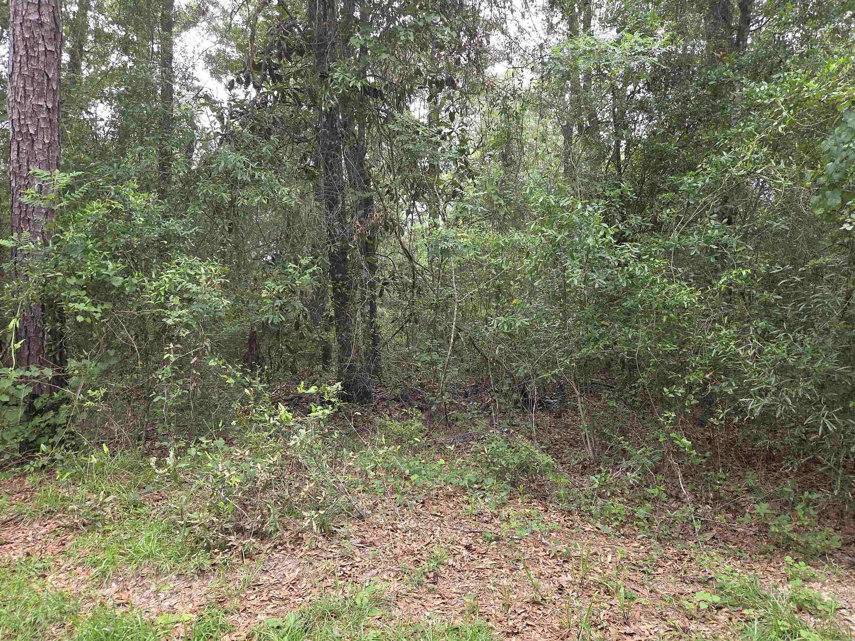 1.5 Acres of Land for Sale in Hosford, Florida