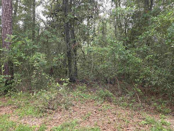 1.5 Acres of Land for Sale in Hosford, Florida