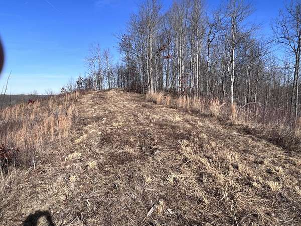 13.7 Acres of Recreational Land for Sale in Tyner, Kentucky