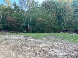 14.1 Acres of Recreational Land for Sale in Blaine, Kentucky