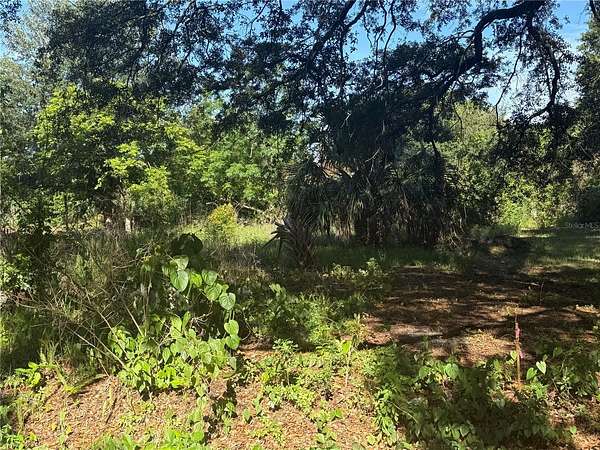 0.16 Acres of Residential Land for Sale in Winter Haven, Florida