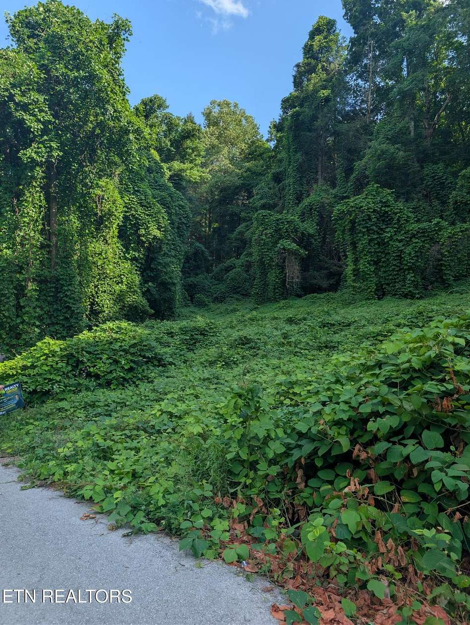 1 Acre of Residential Land for Sale in Middlesboro, Kentucky