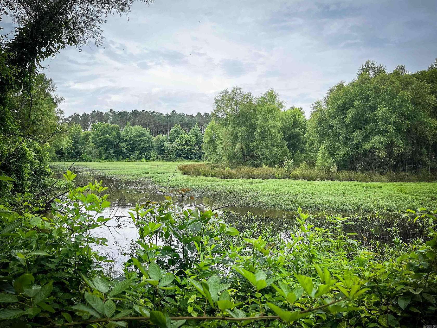 80 Acres of Recreational Land for Sale in Emmet, Arkansas