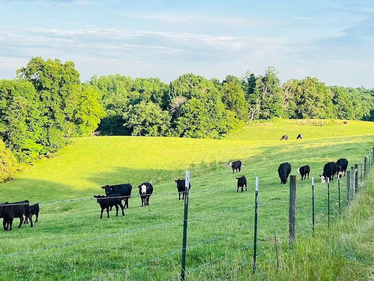 13.3 Acres of Recreational & Residential Land for Sale in Glens Fork, Kentucky