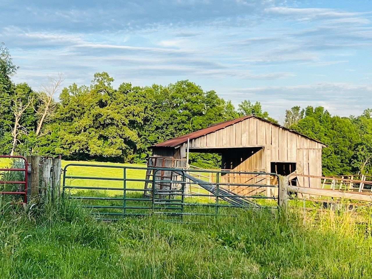 17.7 Acres of Recreational & Residential Land for Sale in Glens Fork, Kentucky