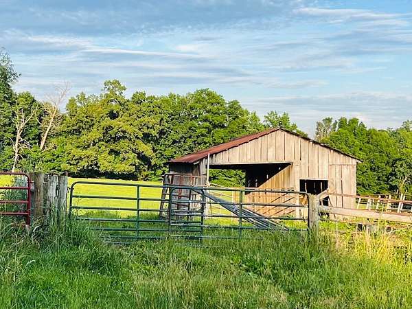 17.7 Acres of Recreational & Residential Land for Sale in Glens Fork, Kentucky