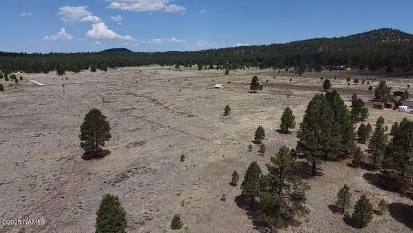 10.1 Acres of Land for Sale in Williams, Arizona