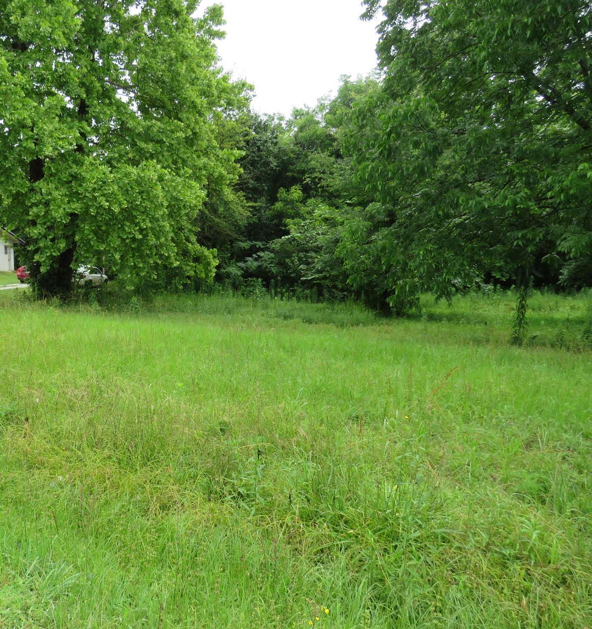 0.87 Acres of Land for Sale in De Kalb, Texas