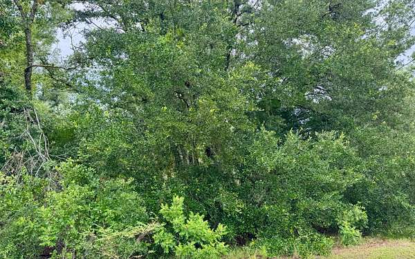 2.6 Acres of Residential Land for Sale in Jennings, Florida