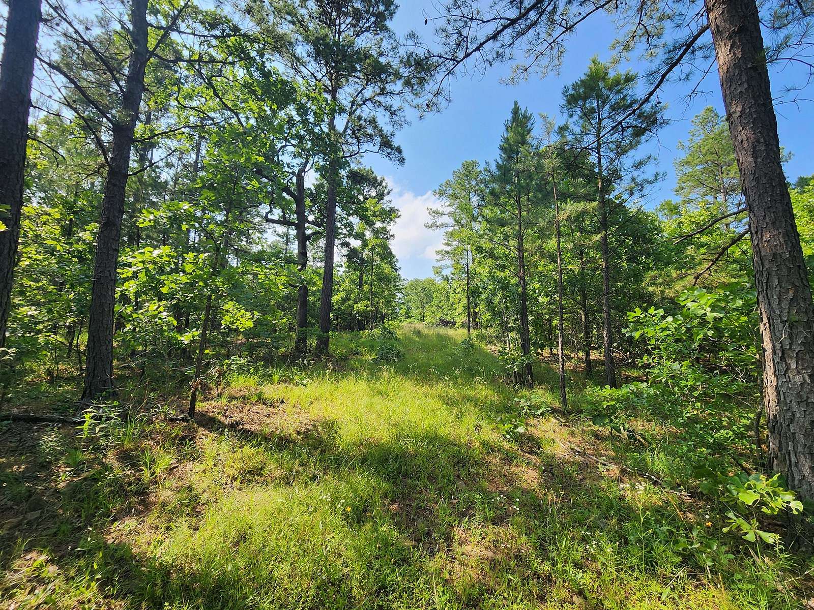 13.7 Acres of Land for Sale in Wister, Oklahoma