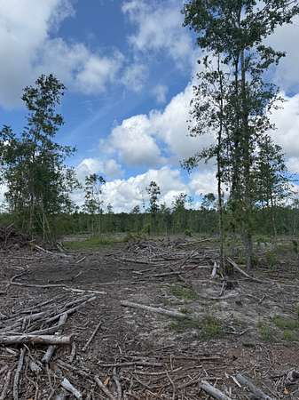 90 Acres of Land for Sale in Guyton, Georgia