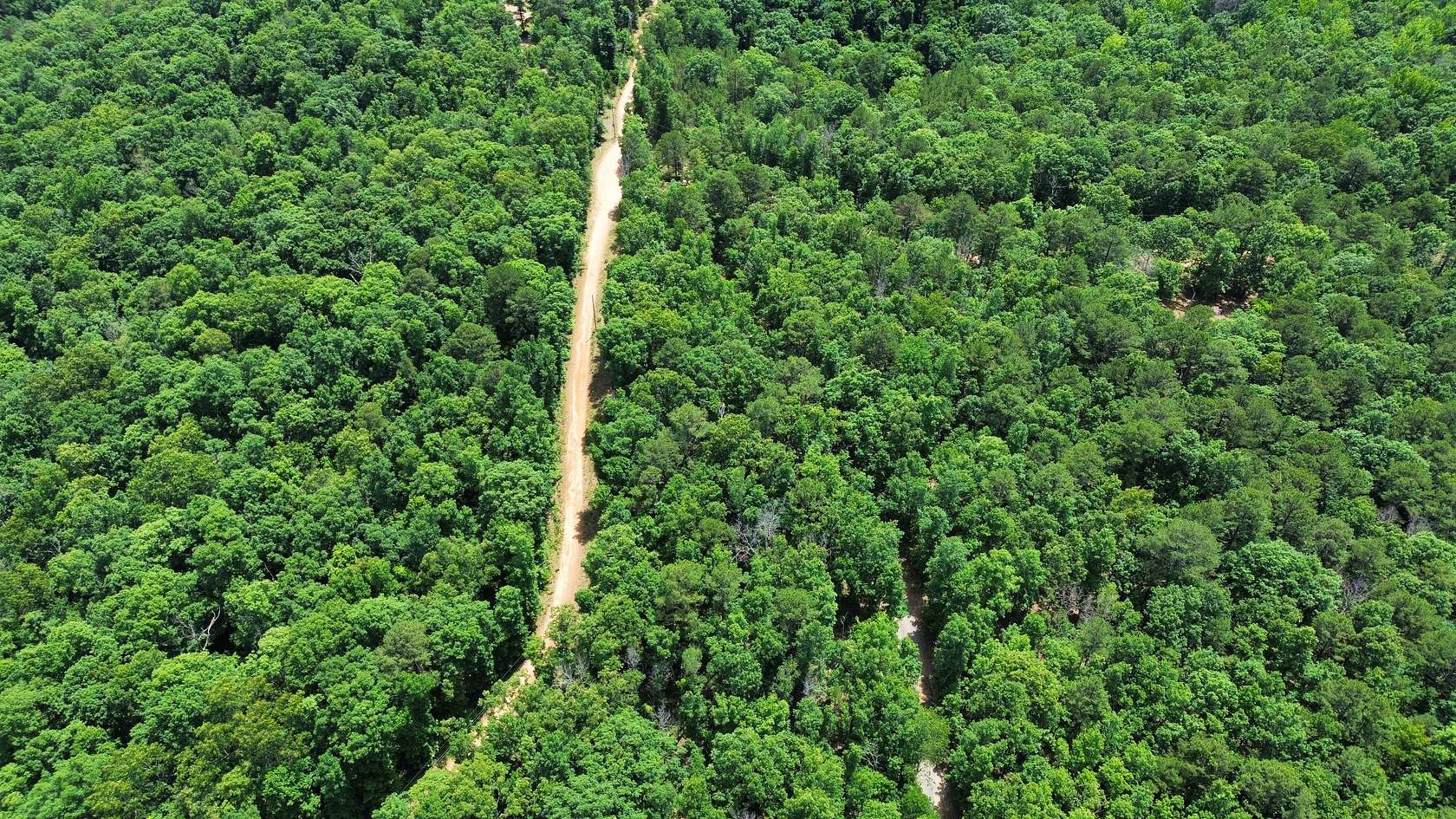 10 Acres of Land for Sale in Shirley, Arkansas