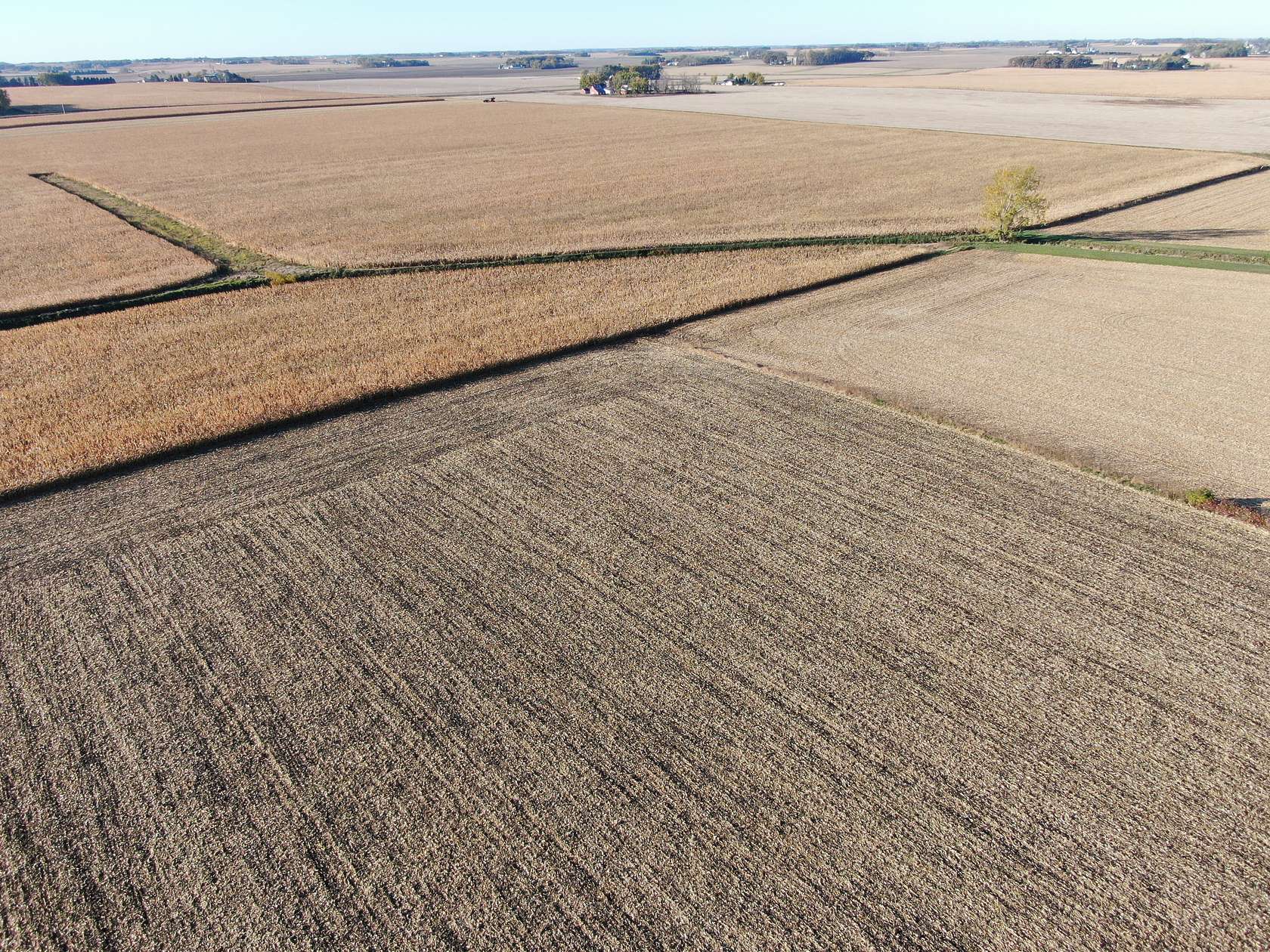 130 Acres of Agricultural Land for Sale in Owatonna, Minnesota