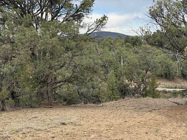 0.86 Acres of Residential Land for Sale in Los Ojos, New Mexico