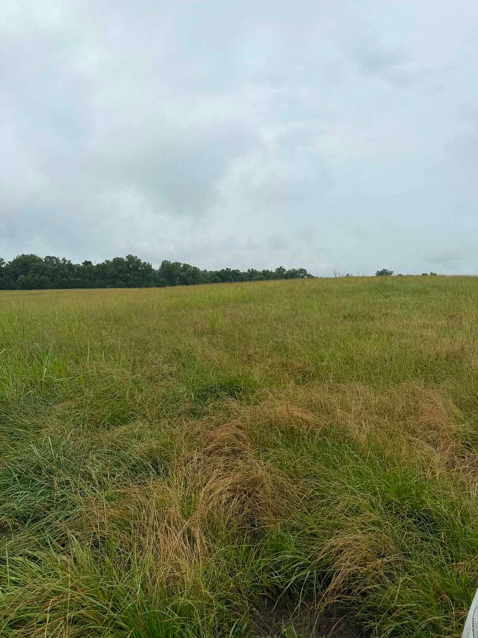 105 Acres of Land for Sale in Theodosia, Missouri