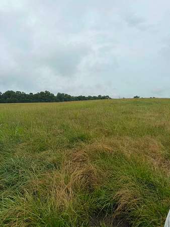 105 Acres of Land for Sale in Theodosia, Missouri