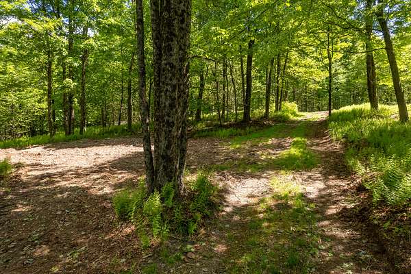 6.77 Acres of Land for Sale in Hancock, New York