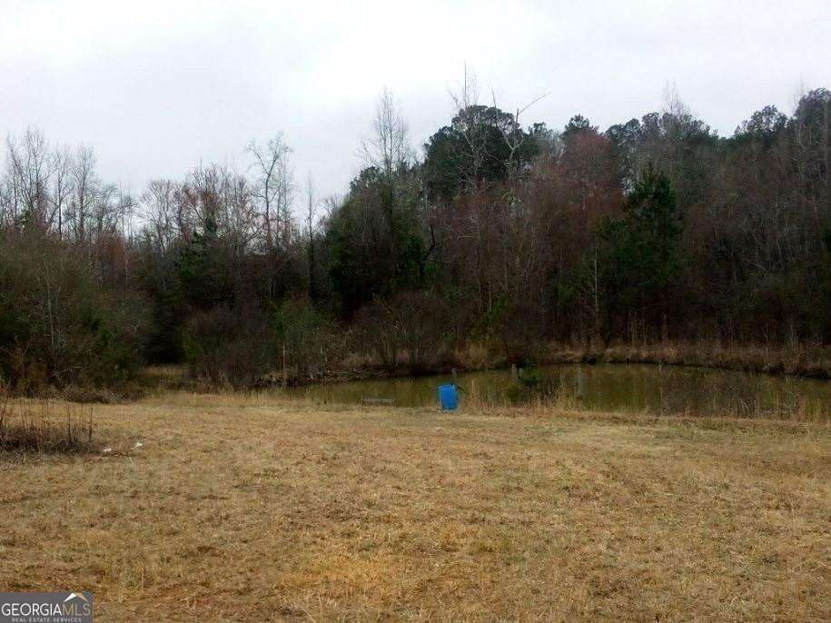 10.8 Acres of Recreational Land for Sale in Woodbury, Georgia