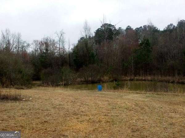 10.8 Acres of Recreational Land for Sale in Woodbury, Georgia