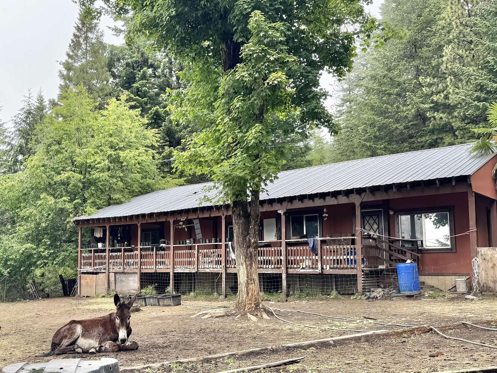 40 Acres of Land with Home for Sale in Bridgeville, California