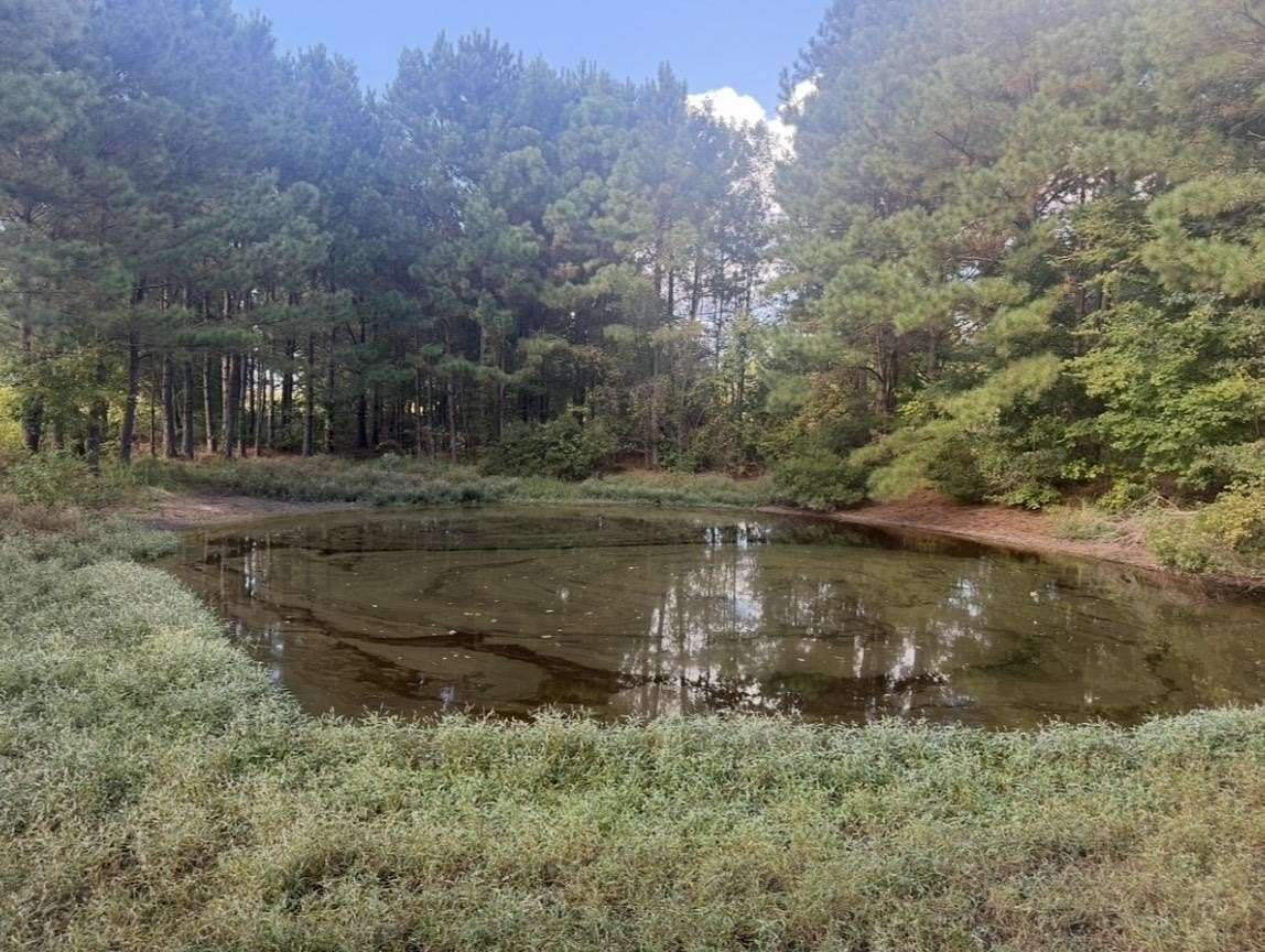 4.73 Acres of Residential Land for Sale in Hallsville, Texas