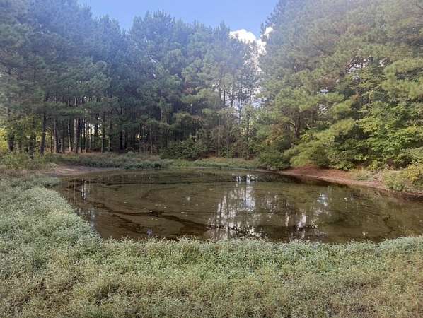 4.73 Acres of Residential Land for Sale in Hallsville, Texas