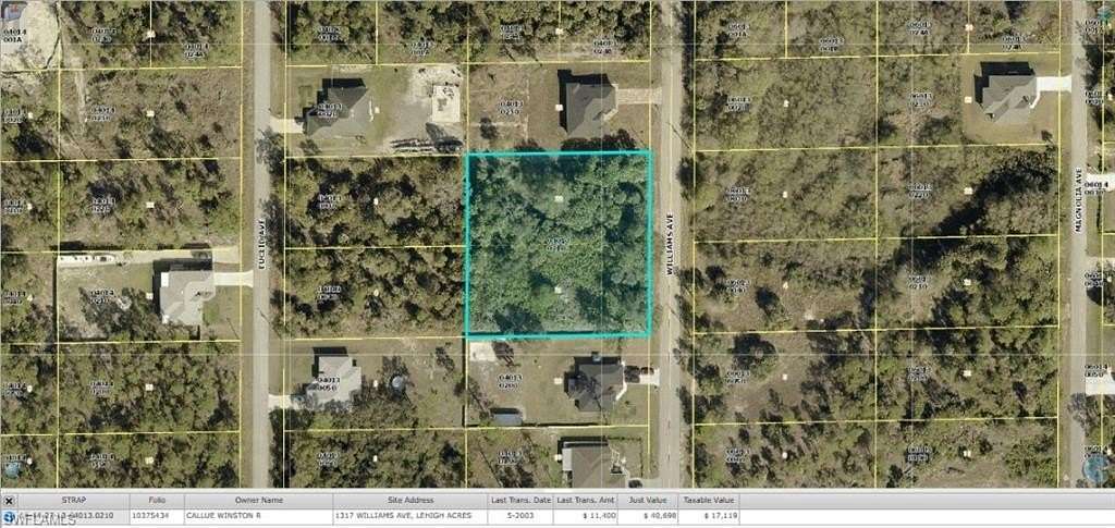1 Acre of Residential Land for Sale in Lehigh Acres, Florida