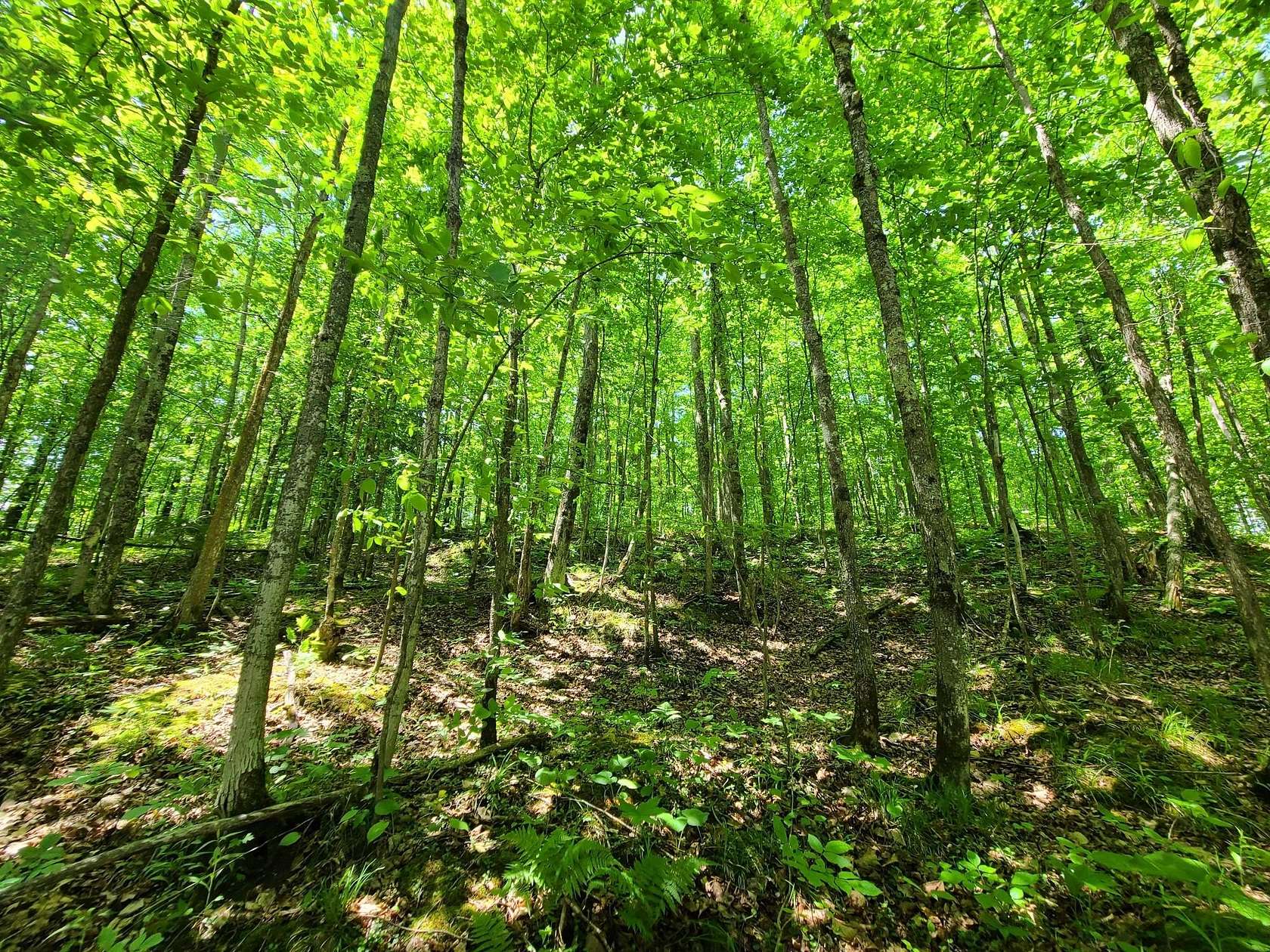 20 Acres of Land for Sale in Hurley, Wisconsin