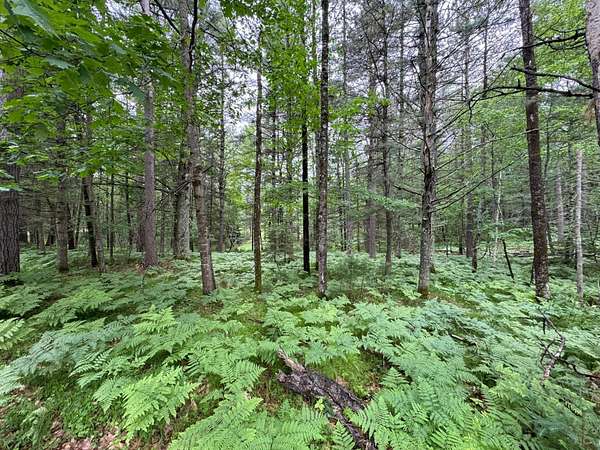 0.66 Acres of Residential Land for Sale in Minocqua, Wisconsin