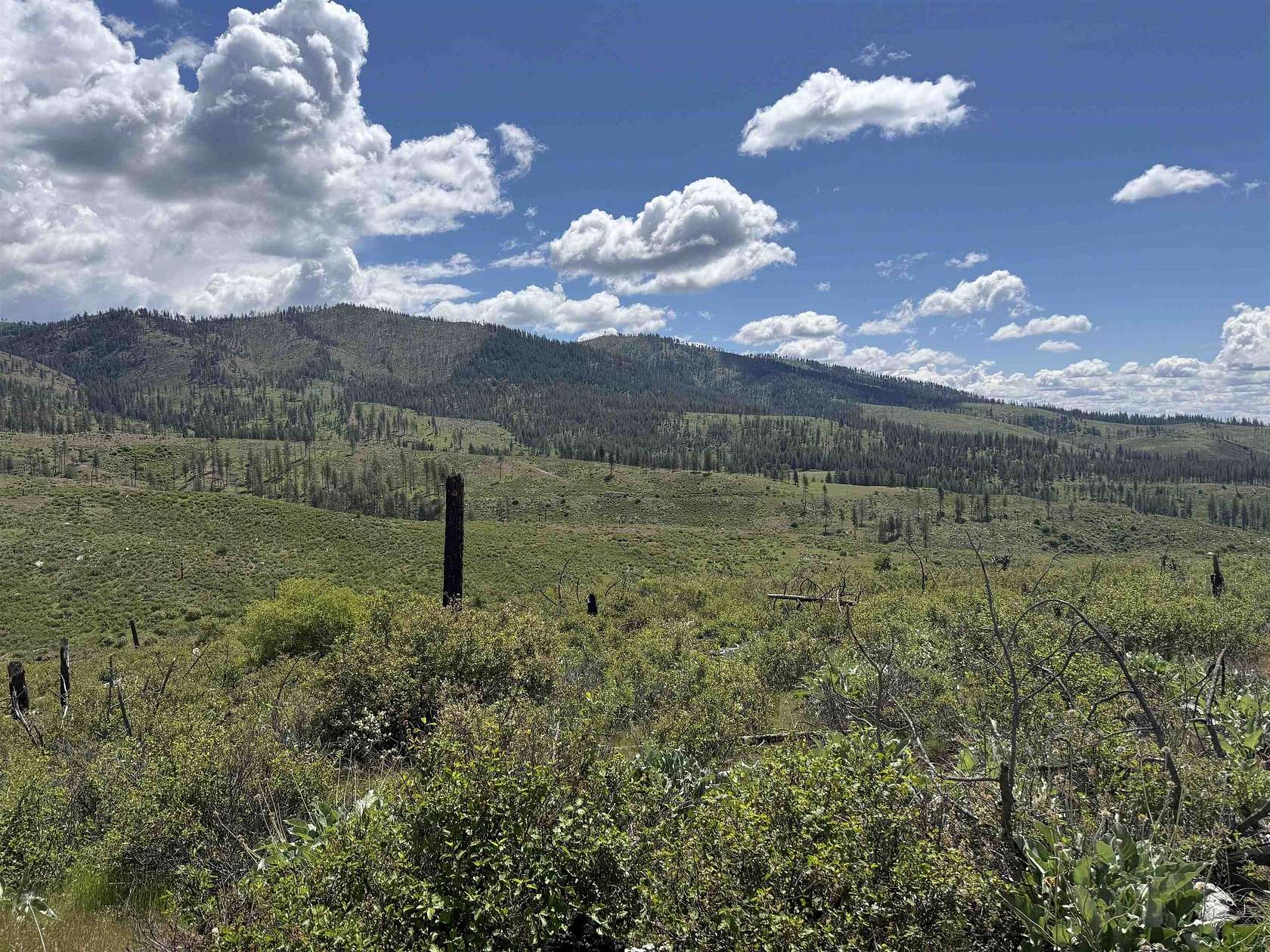 20 Acres of Recreational & Residential Land for Sale in Fruitland, Washington