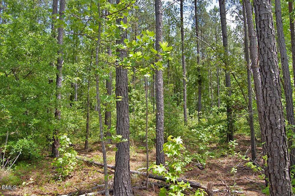 10 Acres of Land for Sale in Louisburg, North Carolina