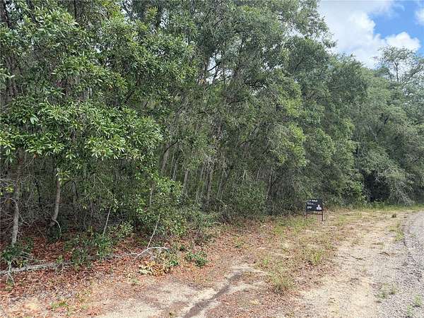 0.55 Acres of Residential Land for Sale in Dunnellon, Florida