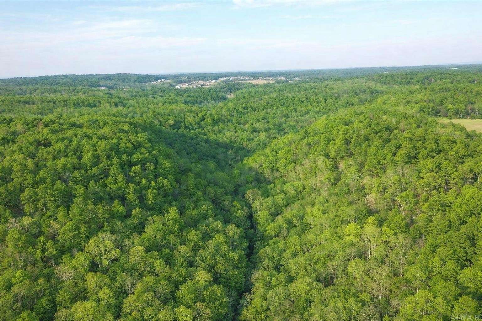 20 Acres of Recreational Land for Sale in Pottsville, Arkansas