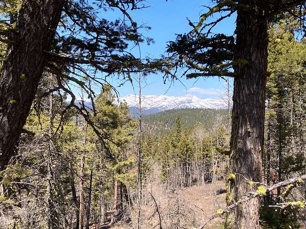 39 Acres of Land for Sale in Lincoln, Montana