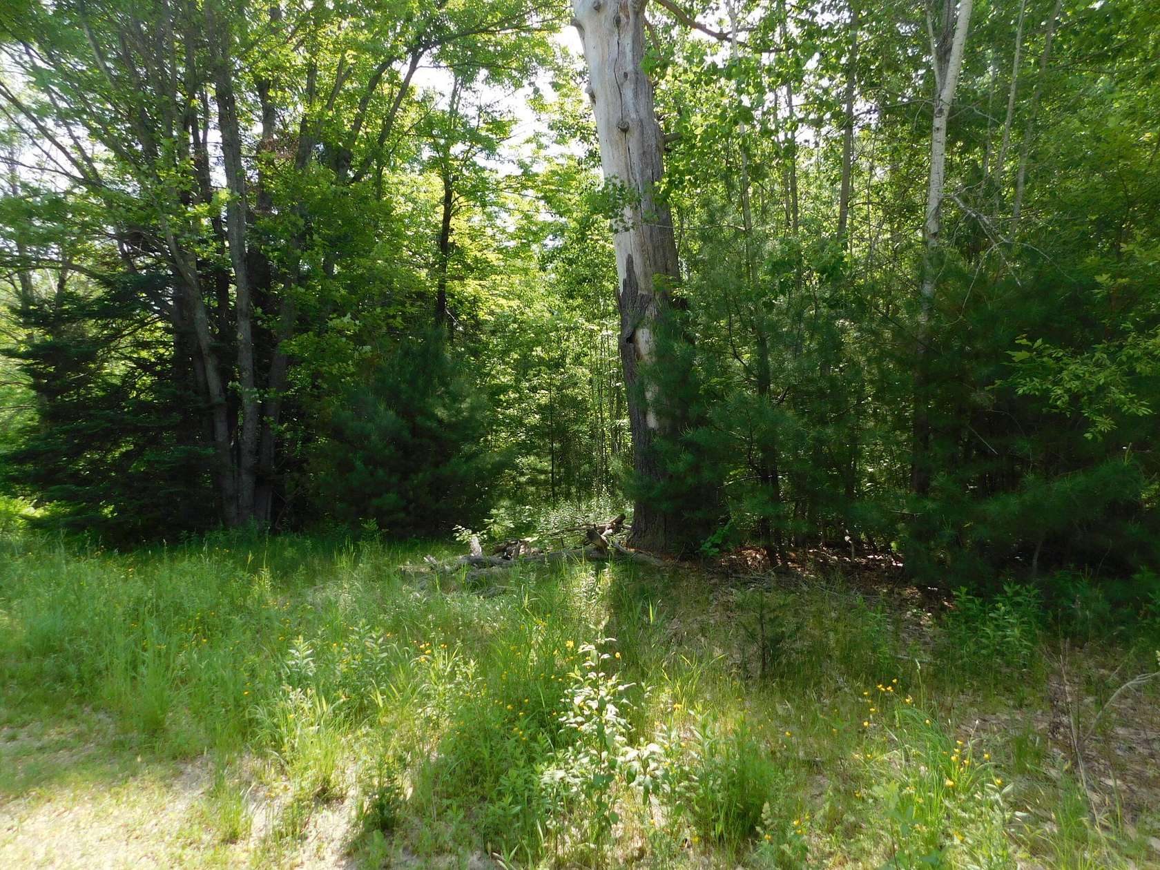 0.7 Acres of Land for Sale in Hartland, Maine