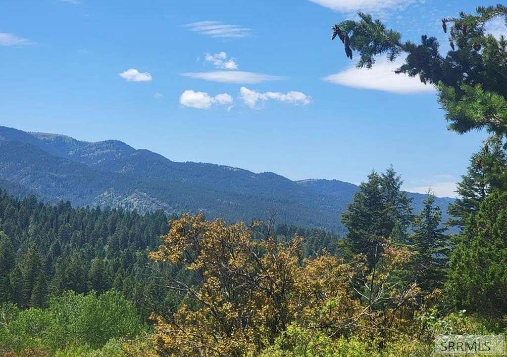2.3 Acres of Residential Land for Sale in Irwin, Idaho