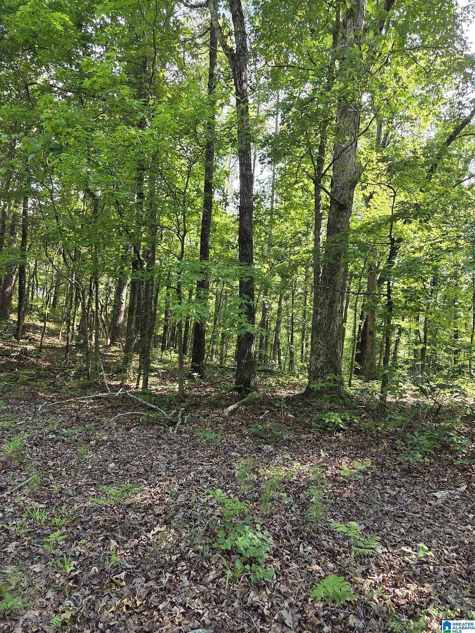4.9 Acres of Commercial Land for Sale in Sylacauga, Alabama