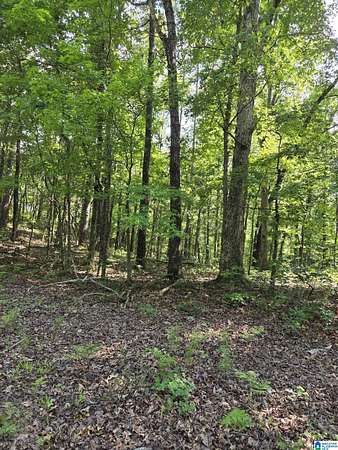 4.9 Acres of Commercial Land for Sale in Sylacauga, Alabama