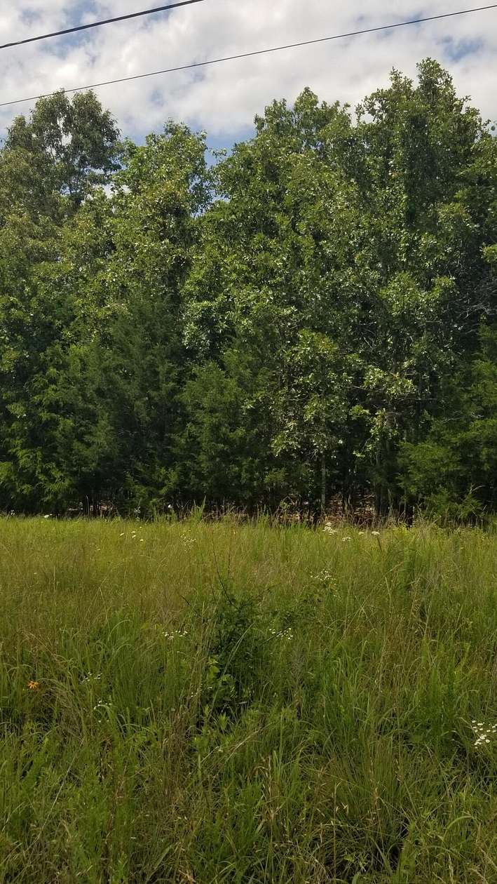 17.5 Acres of Recreational Land for Sale in Thayer, Missouri