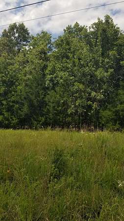 17.5 Acres of Recreational Land for Sale in Thayer, Missouri