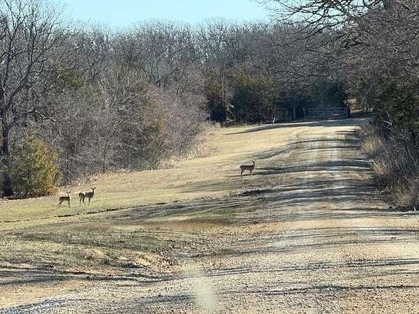 90 Acres of Land for Sale in Holdenville, Oklahoma
