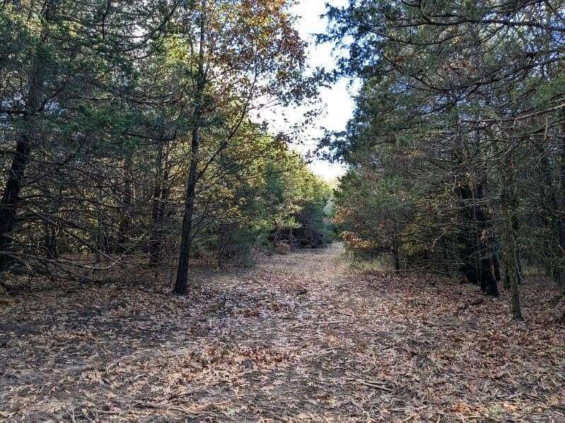 22 Acres of Recreational & Residential Land for Sale in Prairie Grove, Arkansas