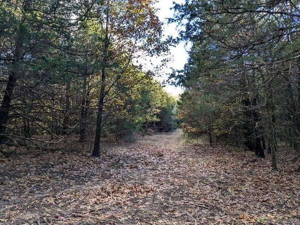 22 Acres of Recreational & Residential Land for Sale in Prairie Grove, Arkansas